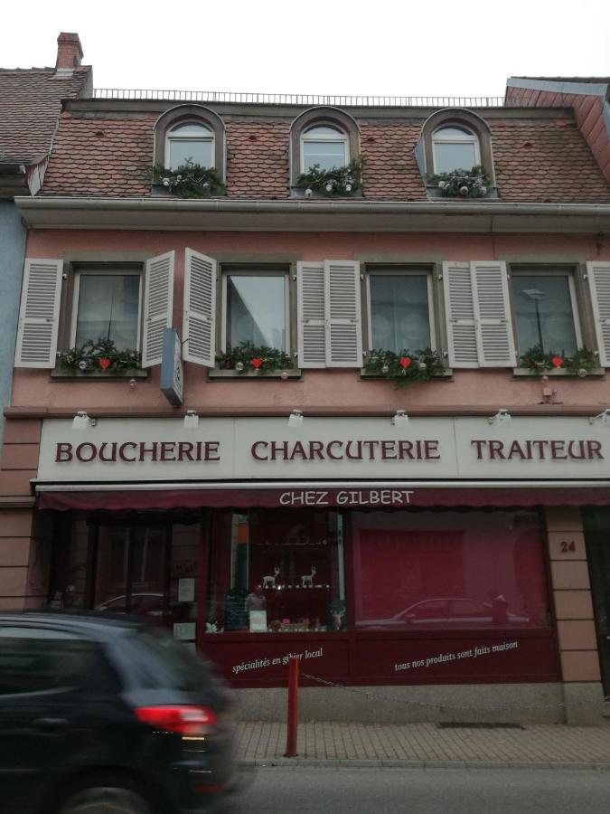 Spacieux Appartement Dans Le Centre De Munster Munster  Exteriér fotografie